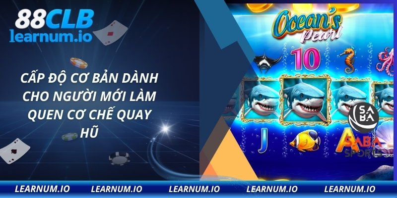 Cấp độ cơ bản dành cho người mới làm quen cơ chế quay hũ